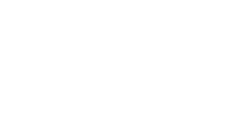 mister
